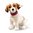 Steiff Matty Jack Russel Terrier EAN 007347